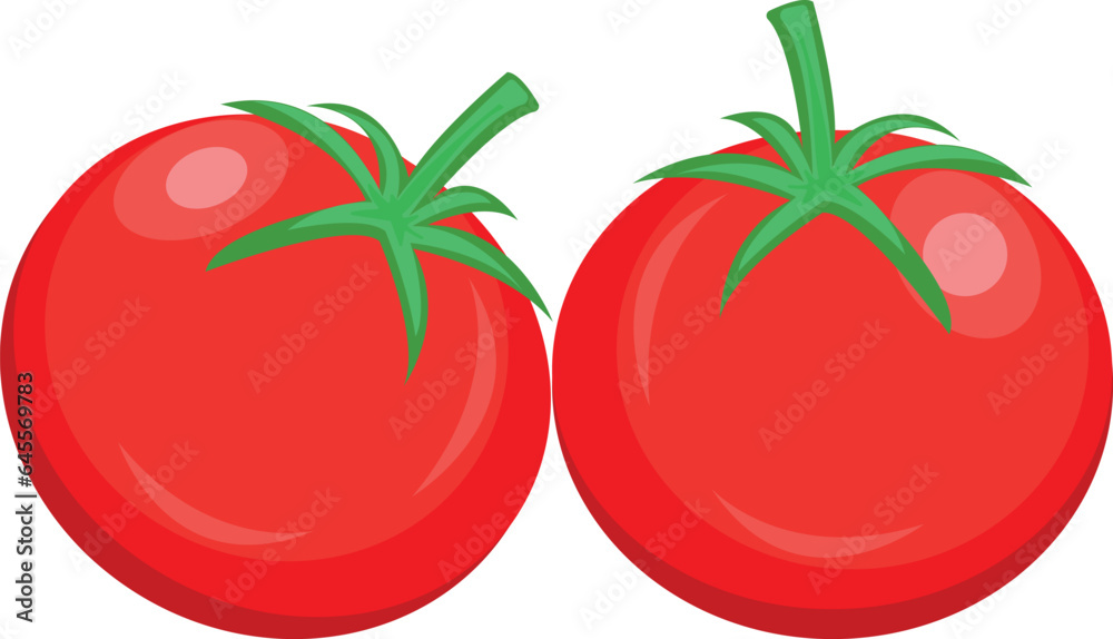 Red Tomato vector illustration eps 10 Red Tomato vector illustration eps 10