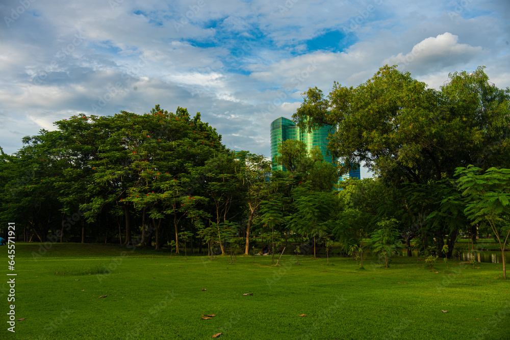 Fototapeta premium Summer cityscape view from the city Garden of golden sunset or sunrise light on the downtown Bangkok city