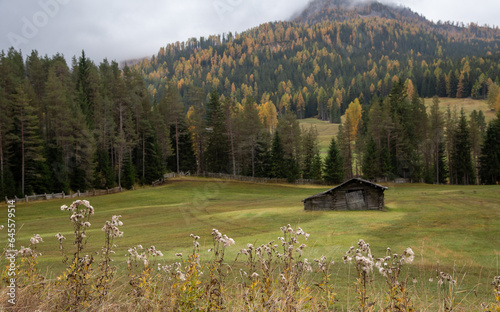 Abandoned wooden farm house in the farmland surrounded  by forest trees in autumn photo