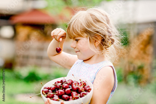 Cuadro en lienzo Little preschool girl picking and eating ripe cherries from tree in garden
