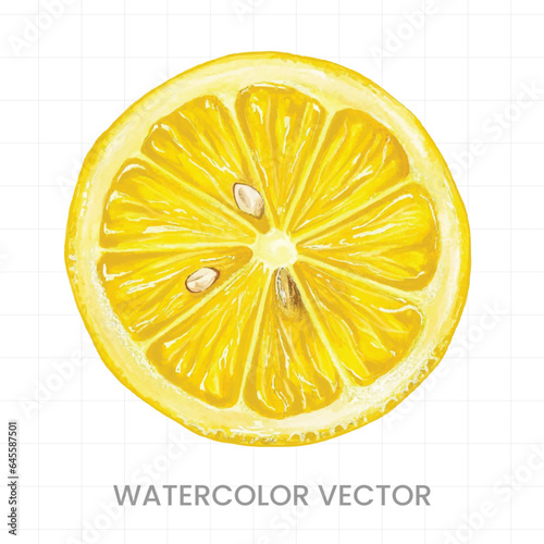 Lemon slices painted in watercolor on a white background