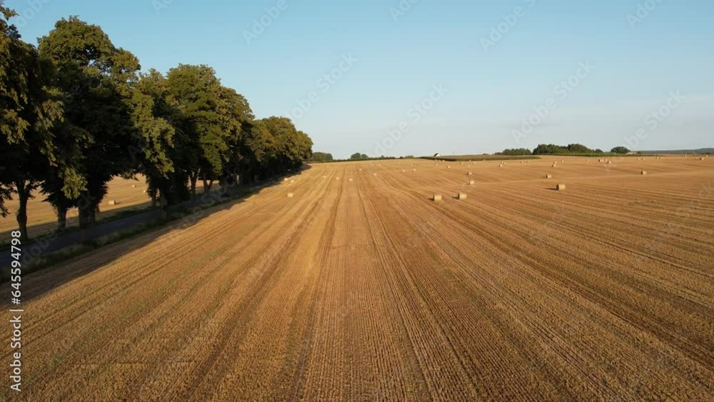 Agriculture field with hay bales, aerial view. Endless farm land with haystacks. Rural landscape with golden wheat straw bales. Agriculture field with hay bales, aerial view. Endless farm land with haystacks. Rural landscape with golden wheat straw bales.
