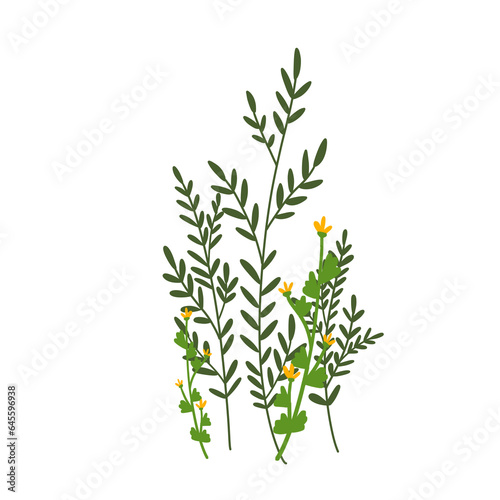 Fototapeta Naklejka Na Ścianę i Meble -  Small green plants illustration