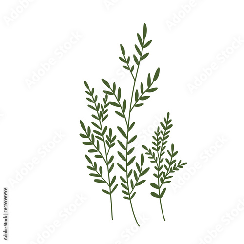 Small green plants illustration