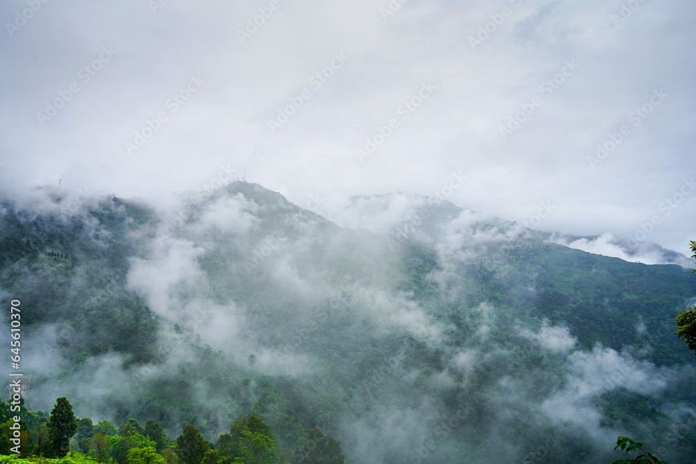 tea garden estate with fog clouds rolling over the hills in Darjeeling showing the famous tea producing tourist attraction in India