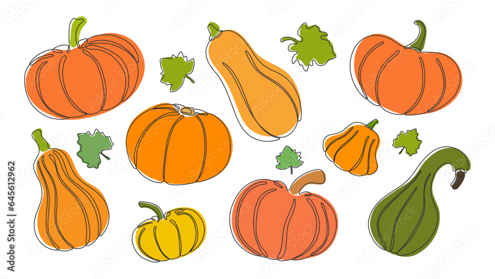 Pumpkin silhouette. Hand draw line art outline pumpkin  for halloween, thanksgiving day design. Set of different autumn pumpkins.