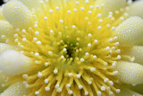 close up of yellowish flower with yellow stamens, in the style of pointillist compositions,