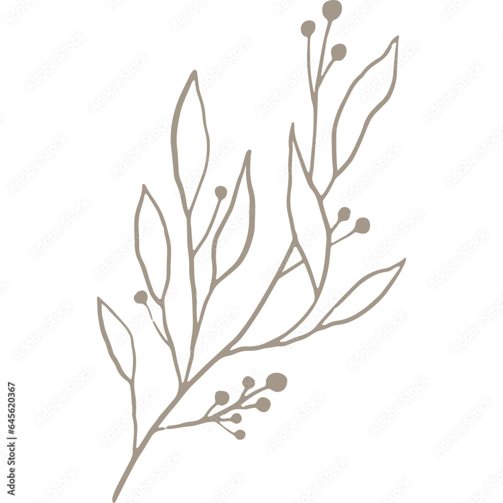 Fototapeta premium Hand-drawn Linear Plant / Twig / Branch with Berries