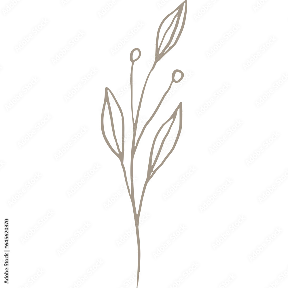 Hand-drawn Linear Plant / Twig / Branch with Berries Hand-drawn Linear Plant / Twig / Branch with Berries