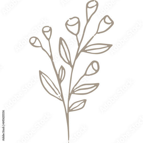 Hand-drawn Linear Plant   Twig   Branch 