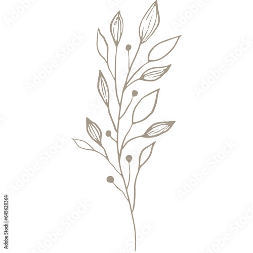 Hand-drawn Linear Plant / Twig / Branch with Berries