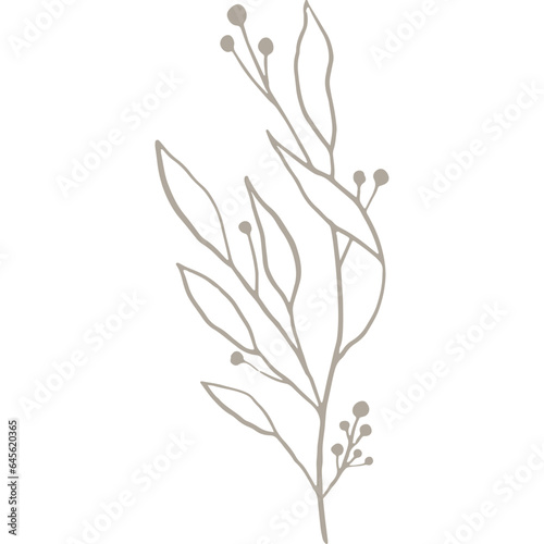 Hand-drawn Linear Plant / Twig / Branch with Berries