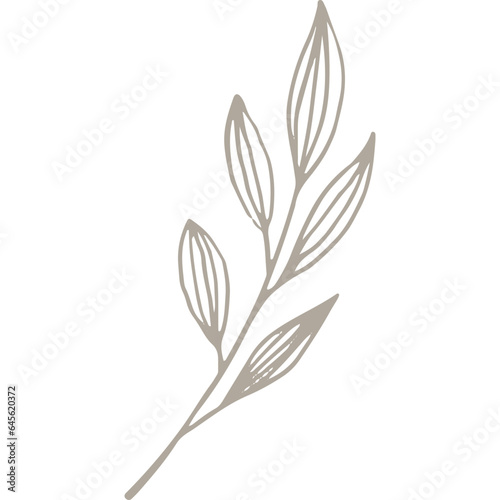 Hand-drawn Linear Plant / Twig / Branch 