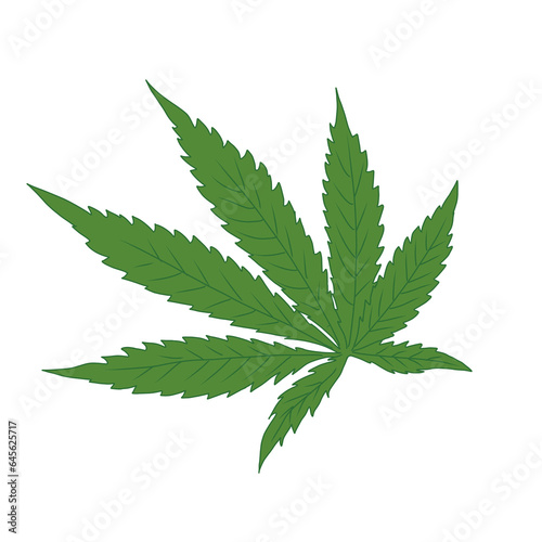 cannabis leaf isolated on white