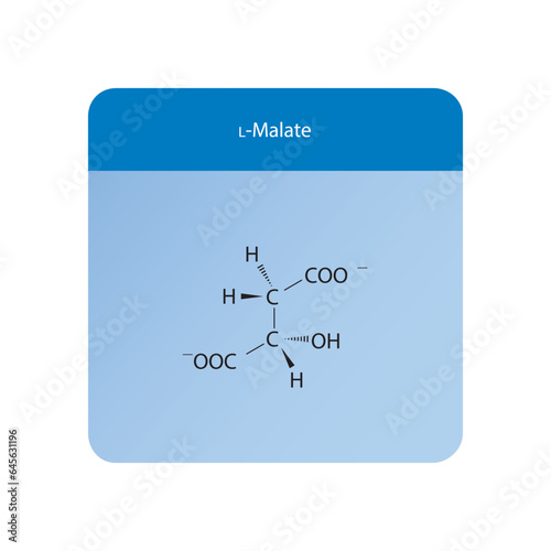 L-malate Dicarboxylic Acid - intermediate in energy metabolism Molecular structure skeletal formula on blue background.