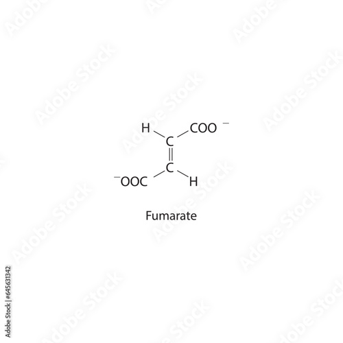 Fumarate Dicarboxylic Acid - intermediate in the citric acid cycle Molecular structure skeletal formula on white background.