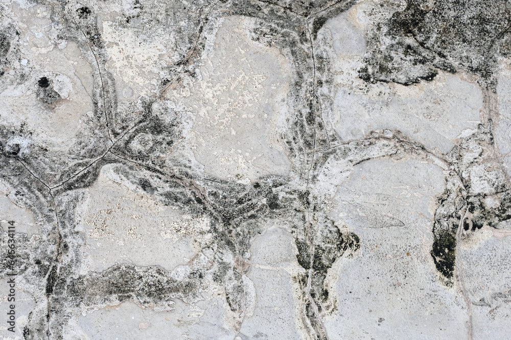 Fototapeta premium stone wall texture