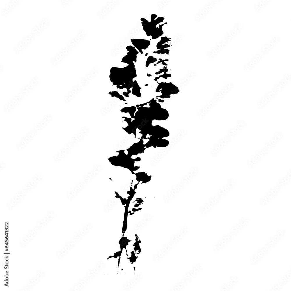Naklejka premium Plant imprint. Black silhouette of herbal element on white background. Vector botanical detail.