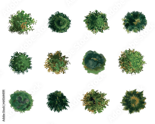  vector top view of trees and bushes vector illustrations set. landscape elements for garden, park or forest, plants