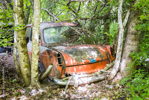 Rusty and forgotten automobile wreck overgrown by trees and plants in a forest photo