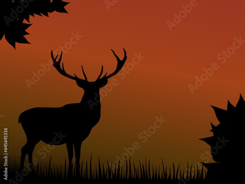 Beautiful horns deer in the wild woods when sunset. Shadow vector with copy space for graphic design.