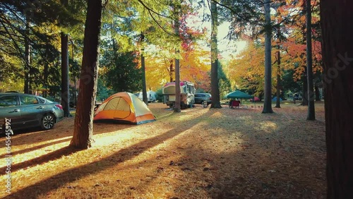 Autumn foliage camping site