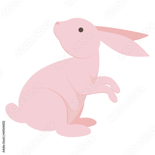 Cute Rabbits Illustration