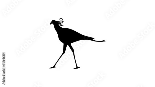 Secretarybird silhouette