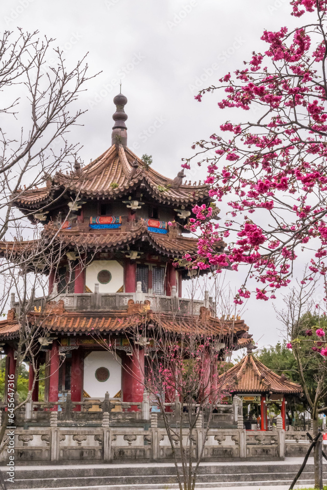 Fototapeta premium Cherry blossoms blooming and Pagoda at 228 Peace Memorial Park in Taipei.