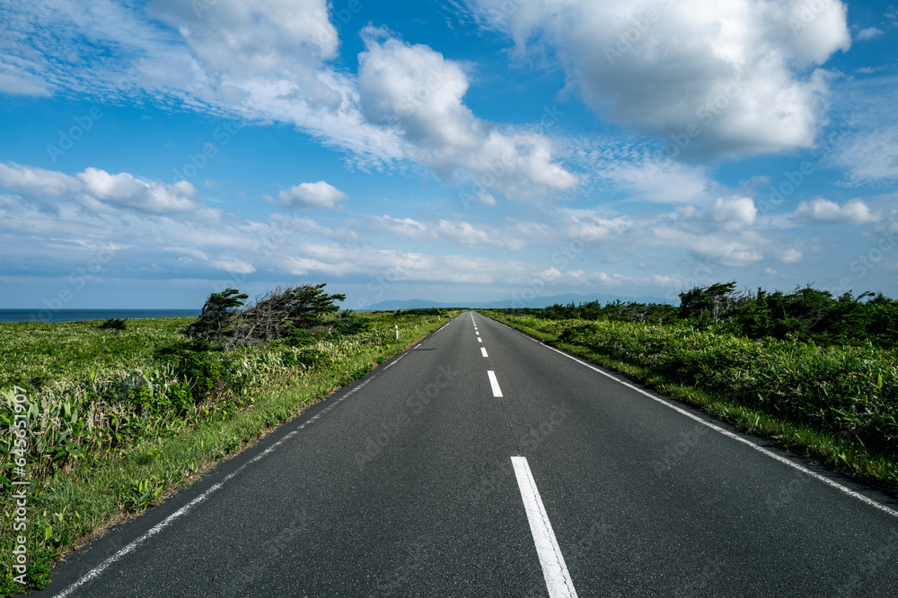 どこまでも続く直線道路エヌサカ線