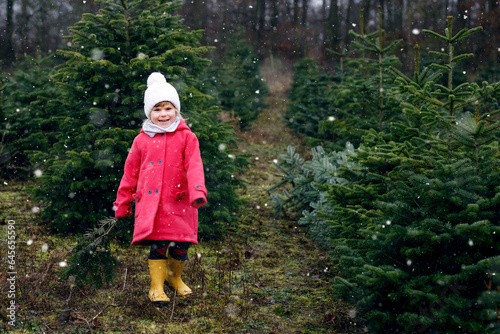 Adorable little toddler girl with Christmas tree on fir tree cutting plantation . Happy child in winter fashion clothes choosing, cut and felling own xmas tree in forest, family tradition in Germany
