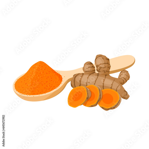 Vector illustration, turmeric powder, with turmeric rhizome or Curcuma longa, isolated on white background.