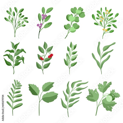 Wallpaper Mural Set of branch greenery Torontodigital.ca