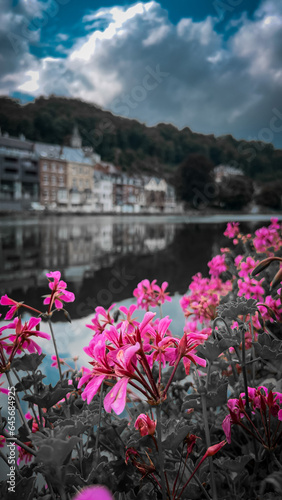 ‎‏Roses with views of the city and river in dinant, Belgium © nasser