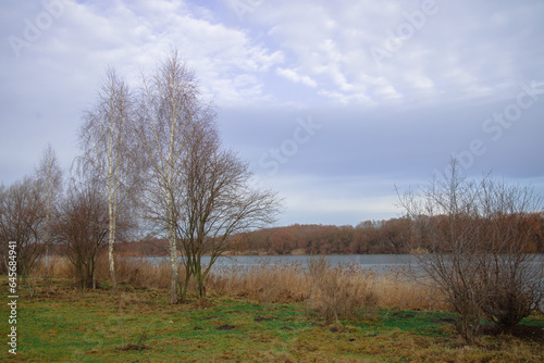dry calm empty autumn morning landscape scenic view with bare branches trees and bushes, river stream background and cloud scape