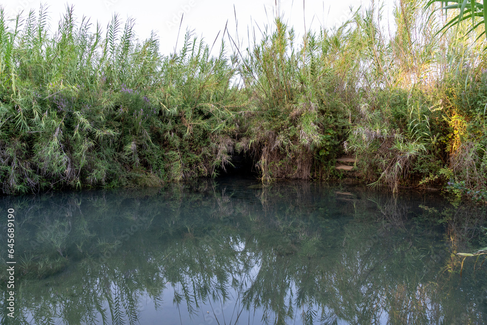 Obraz premium The Jordan River, the Banias Stream in the Shaar settlement area