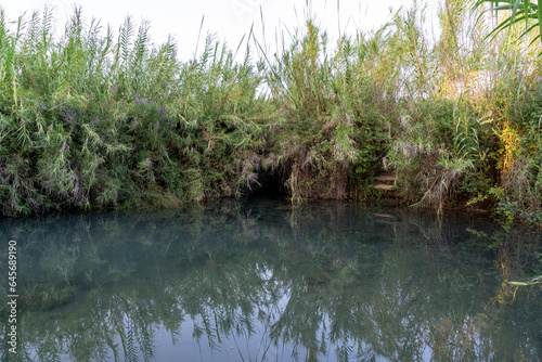 The Jordan River, the Banias Stream in the Shaar settlement area photo