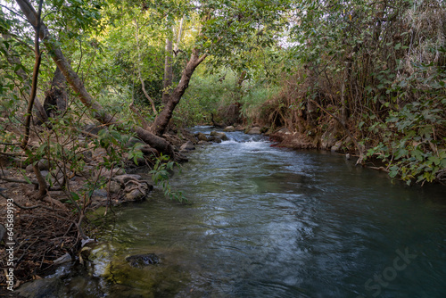 The Jordan River, the Banias Stream in the Shaar settlement area photo