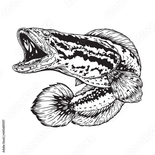 Black white Snakehead fish channa. Image for logo, sticker or shirt design, illustration vector cartoon EPS10.