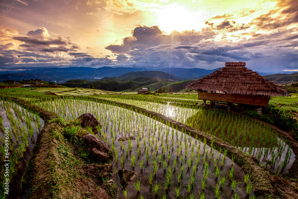 Rice fields on terraced of Pa bong Pieng, Mae Chaem, Chiang Mai, Thailand