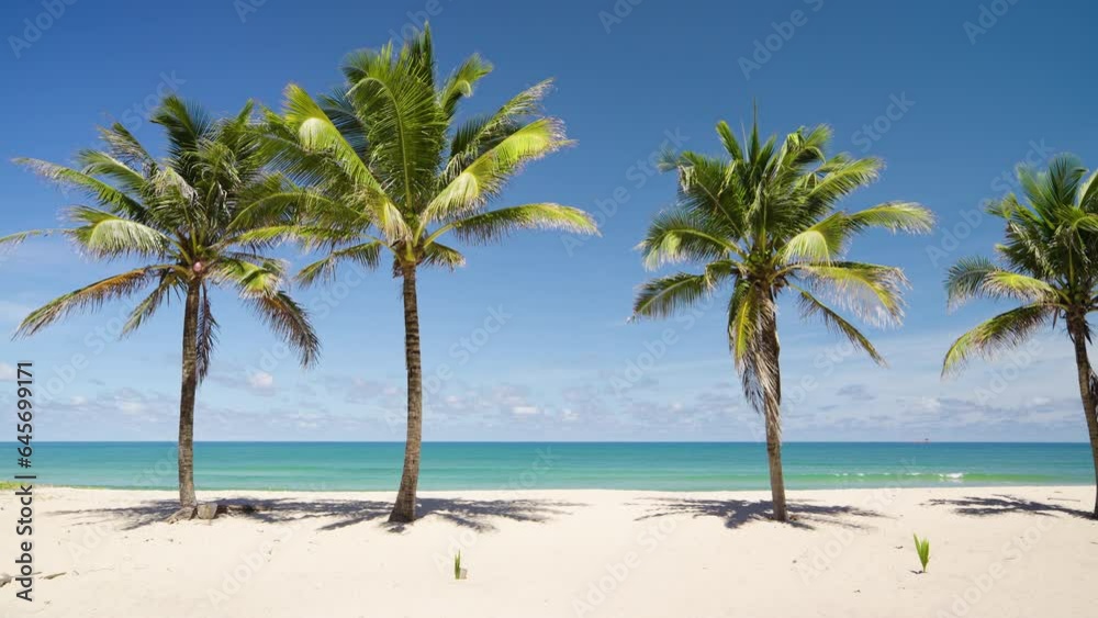 Tropical island paradise beach coconut trees island. Summer holiday Palm beach nature landscape view. Tropical island paradise beach coconut trees island. Summer holiday Palm beach nature landscape view.