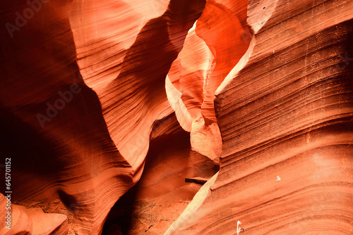 RattleSnake Slot Canyon Arizona