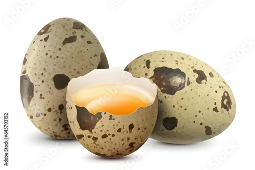 Spotted quail eggs whole and half broken egg with a yolk isolated on a white background. White сhicken egg smashed. Healthy diet. Realistic 3d vector illustration