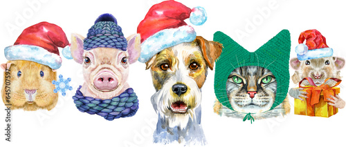 Border from watercolor portraits of dog, guinea pig, cat, mini pig, and rat © Andreichenko