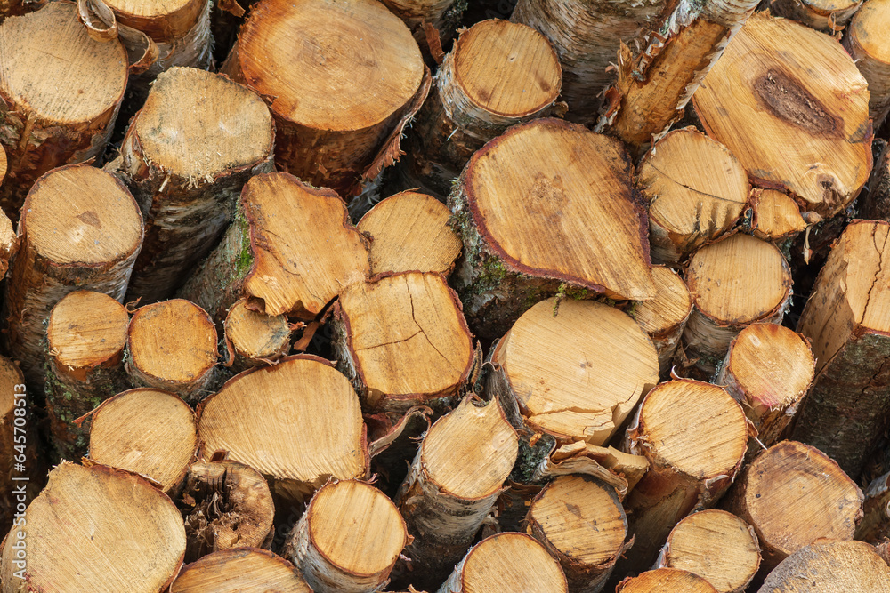 Pile of cut lumber wood .