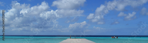 Fototapeta Naklejka Na Ścianę i Meble -  a pier on a paradisiacal beach in the Caribbean Sea