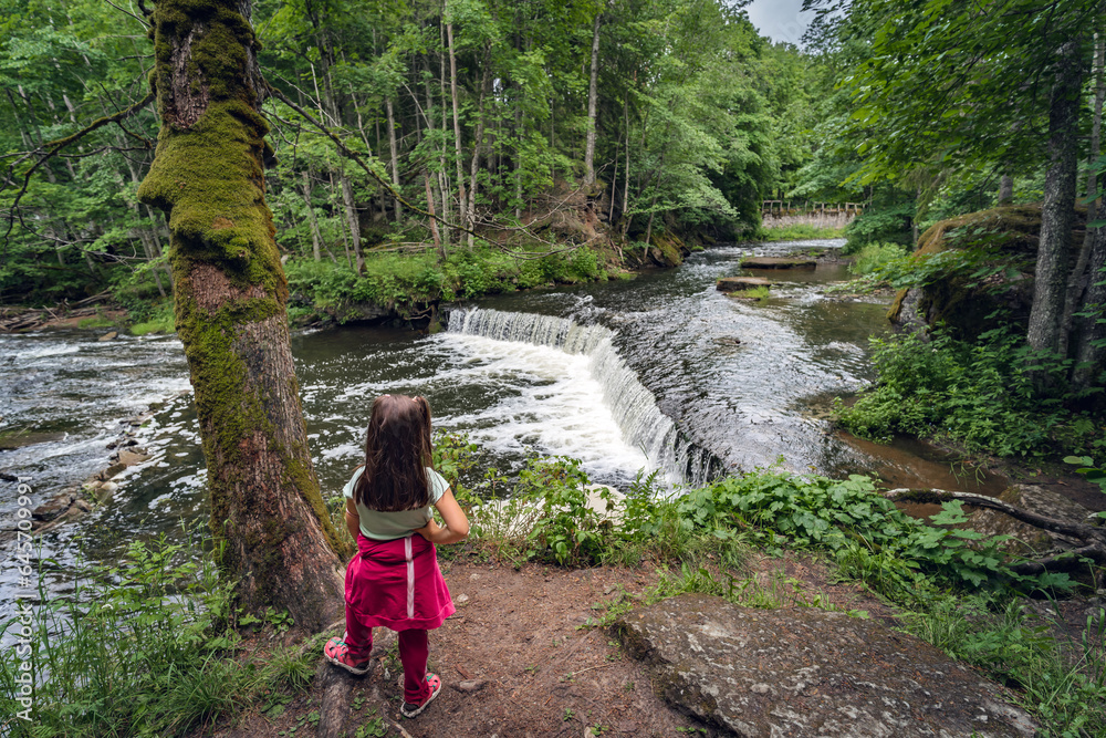 Little girl at Nõmmeveski waterfall in nature in the forest on a summer day.  View from the back.
