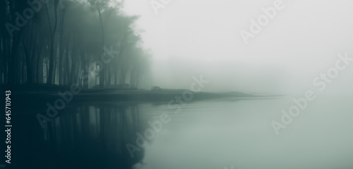 A lazy river in a fantasy forest background Riverside in a mysterious and scary forest Smog in the forest dark tone image © nana