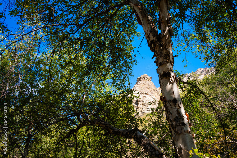 Fototapeta premium mountains, nature, landscape, sky, river, plants, rocks,