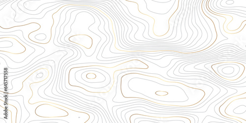 Topographic contours map background. Topography geographic lines background. White paper curved reliefs background. Topography landscape and vintage outdoors style.